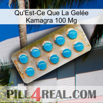 What Is Kamagra Jelly 100Mg new09